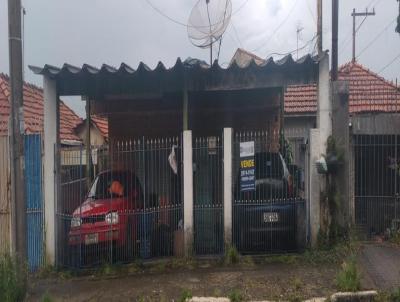 imagem-miniatura